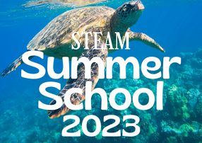 STEAM Summer School 2023